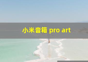 小米音箱 pro art